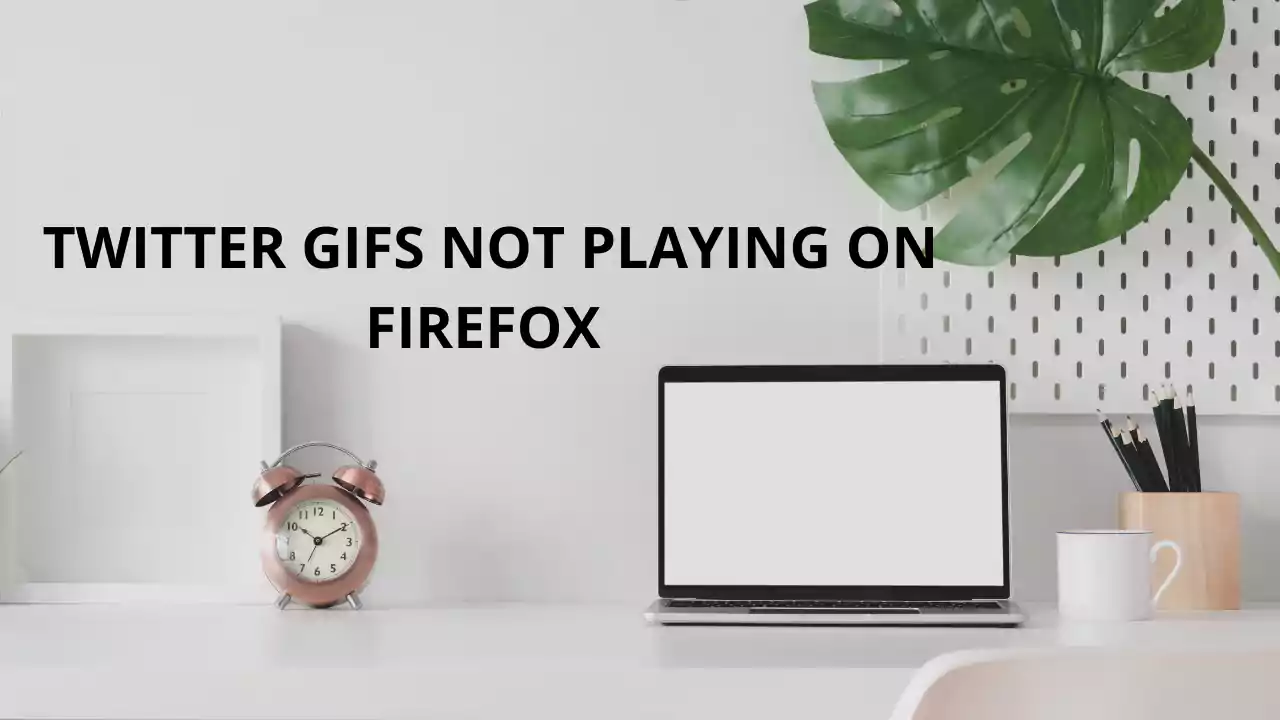 TWITTER GIFS NOT PLAYING ON FIREFOX 