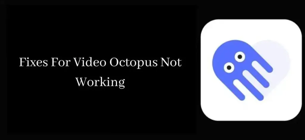Fix Video Octopus Not Working